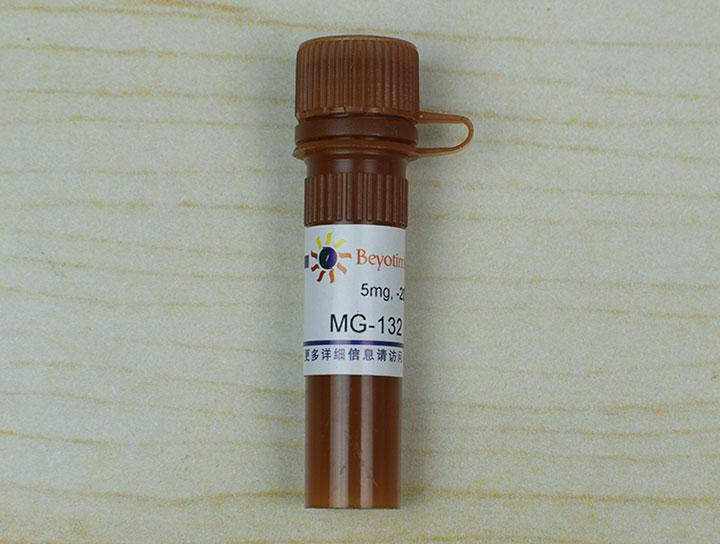 MG-132 (Proteasome抑制剂)